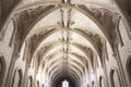 vaulted cathedral ceiling with detailed stone carvings