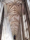 Vaulted ceiling of Canterbury Cathedral