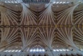 Vaulted ceiling Exeter Cathedral