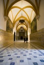 Vaulted hall in the Alcazars