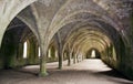 Vaulted Ruins of Fountains Abbey