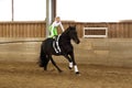 Vaulting exercise Royalty Free Stock Photo