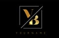 VB Golden Letter Logo with Cutted and Intersected Design