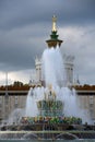 VDNKH park architecture in Moscow. Stone Flower Fountain.