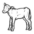 Veal icon, hand drawn style Royalty Free Stock Photo