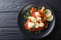 Veal Milanesa Napolitana with mozzarella cheese and tomato sauce