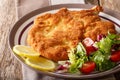 Veal milanese cotoletta alla milanese with lemon and fresh veg Royalty Free Stock Photo