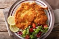 Veal milanese cotoletta alla milanese with lemon and fresh veg Royalty Free Stock Photo