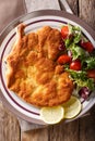 Veal milanese cotoletta alla milanese with lemon and fresh veg