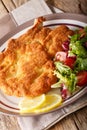 Veal Milanese with lemon and fresh salad of tomatoes and lettuce Royalty Free Stock Photo