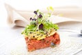 Veal tenderloin fillet tartar with garden salad decoration Royalty Free Stock Photo