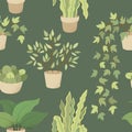 Veclor seamless pattern with house indoor plants on green background