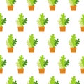 Veclor seamless pattern with house indoor plants on white background