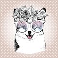 Vecotr portrait of dog, wearing the floral wreath and sunglasses. Wesh corgi pembroke breed.