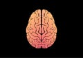 Vectoe illustration of human brain Royalty Free Stock Photo