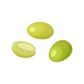 Vector illustration of three 3 fruits of green olives in cartoon style. Royalty Free Stock Photo