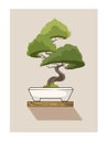 small bonsai decoration