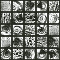 abstact seamless pattern background with sea stone texture