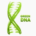 Vector abstract DNA strand as green grass. Conceptual health and ecology medical illustration. Double helix as vibrant