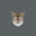 Vector abstract geometric head lynx