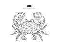 Vector abstract illustration of crab Royalty Free Stock Photo