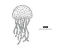 Vector abstract illustration of jellyfish Royalty Free Stock Photo