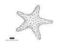 Vector abstract illustration of starfish Royalty Free Stock Photo