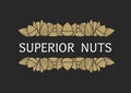 Vector abstract illustration on the theme of the logo for nuts, consisting of almond, walnut, peanut, pistachio and