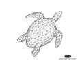 Vector abstract illustration of turtle Royalty Free Stock Photo