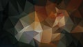 Vector irregular polygon background - triangle low poly pattern - black, dark brown, ochre, green, khaki, cinamon, tawny