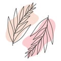 Vector abstract leaf illustration using for logo, wedding, stories, posters. Two minimal modern leaves. Doodle Leaves art Royalty Free Stock Photo