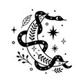 Vector abstract magic illustration with celestial snake, moon, stars and flowers isolated on white background. Boho trendy