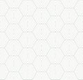 Vector abstract minimalist geometric pattern with hexagonal grid, wavy lines Royalty Free Stock Photo