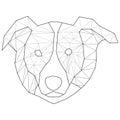 Vector. Abstract polygonal head dog. Linear geometric Royalty Free Stock Photo
