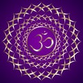 Vector abstract purple background with om mantra Royalty Free Stock Photo