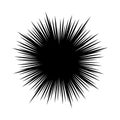 Vector abstract radial burst. black star explosion