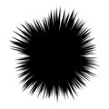 Vector abstract radial burst. black star explosion