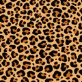 Vector seamless pattern of leopard or ounce predatory print