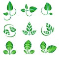 Vector abstract shiny green leaf set for organic, natural, ecology, biology, natural shapes