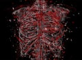 vector abstract skeleton of red and white particles on black background Royalty Free Stock Photo