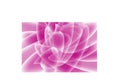 Vector abstract spring floral pink background. Royalty Free Stock Photo