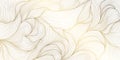 Vector abstract texture luxury background, line wave organic pattern. Elegant shape design, gold on white premium
