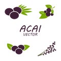 Vector Acai icons set