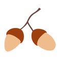 Vector acorn clipart illustration. Acorn isolated on a white background.