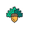 Vector acorn, oak flat color line icon.