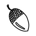 Vector acorn, oak fruit isolated on white background icon. Illustration for seasonal design, textile, decoration kids