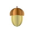 Vector acorn of paper on white background