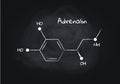 Vector adrenalin structure banner illustration. Hormone associated with adrenal response system and sport. White chalk lines