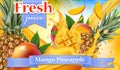 Vector ads 3d promotion banner, Realistic mango and pineapple s