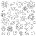 Vector adult coloring book floral pattern black and white - flowers and leaves - wildflovers meadow